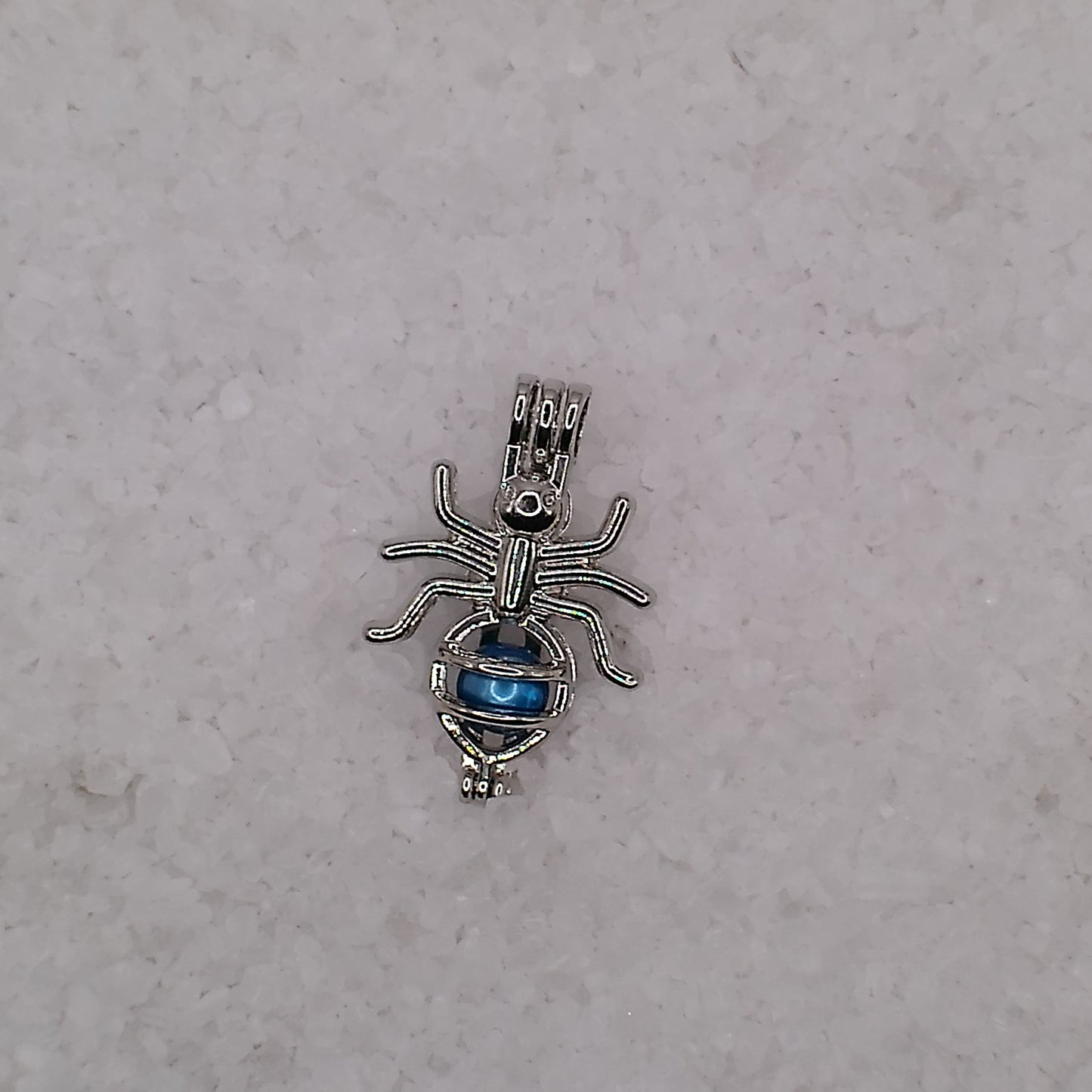 Ant