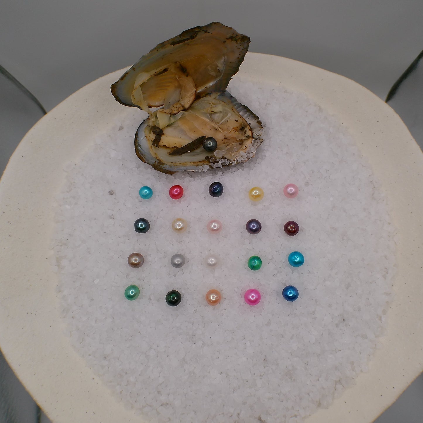 Single Round Pearl Oyster