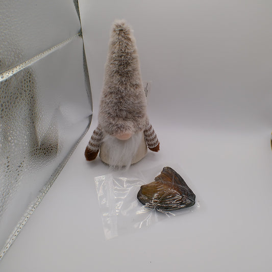 Single Round Pearl Oyster